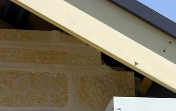 soffit repair Boxbush